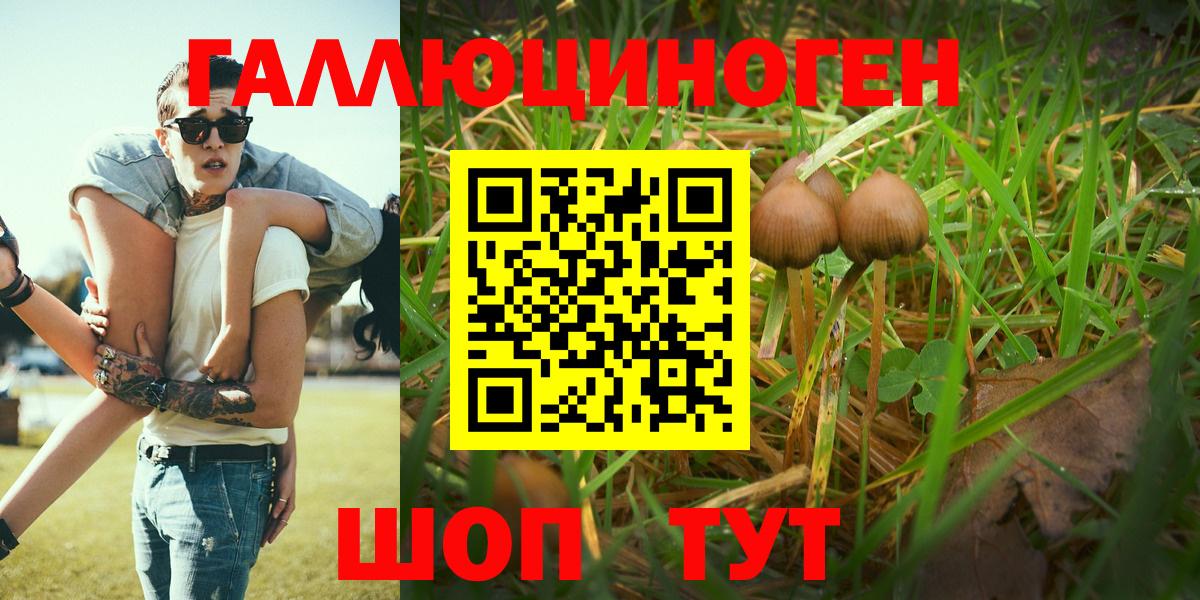 Нягань  Галлюциногенные грибы GOLDEN TEACHER  хочу   Вход с VPN  Галлюциногенные грибы MAGIC MUSHROOMS 