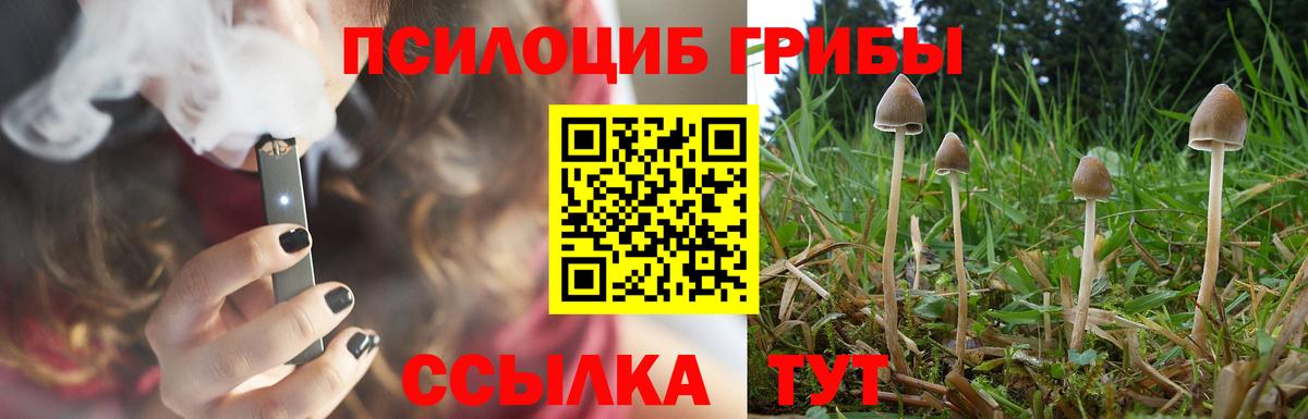 Псилоцибиновые грибы Psilocybe Нягань